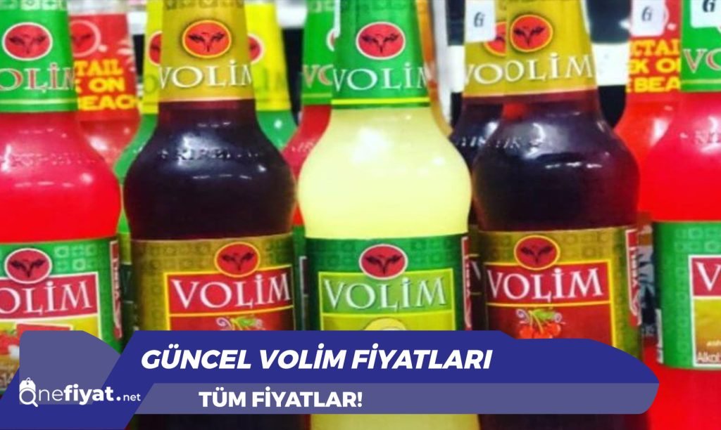 Efe Gold Rakı Fiyatları 2024 | 35'lik, 70'lik, 100'lük